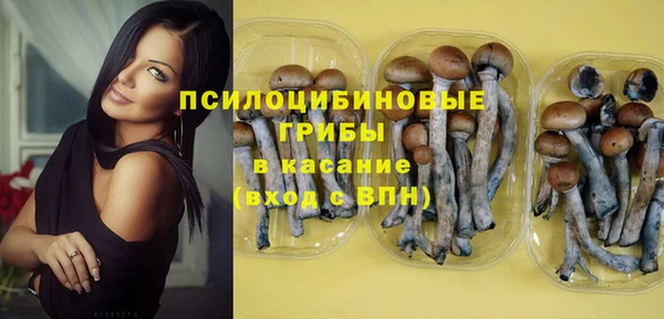 PSILOCYBIN Белоозёрский